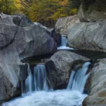 warren falls