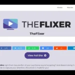 The Flixer