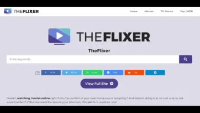 The Flixer