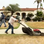 Mexican Lawnmowers