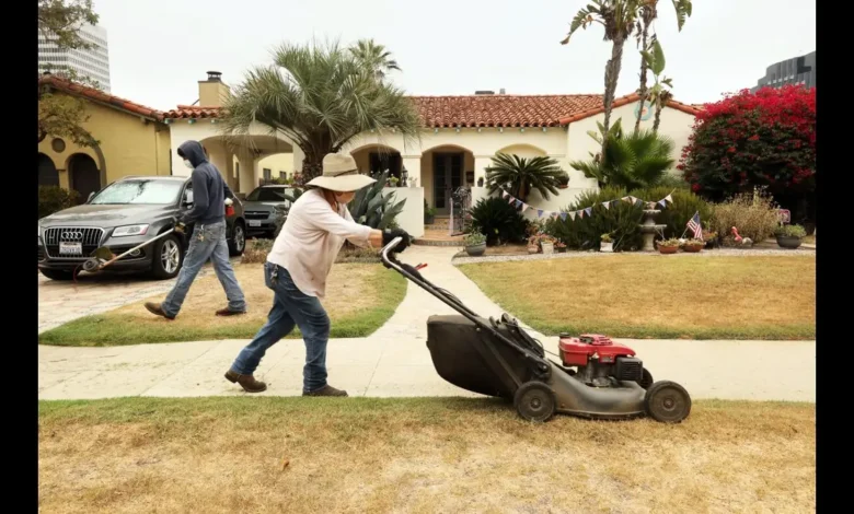 Mexican Lawnmowers