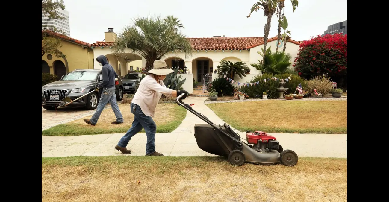 Mexican Lawnmowers