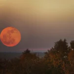 Orange Moon Tonight