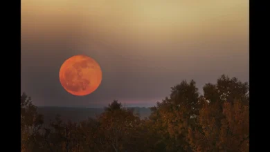 Orange Moon Tonight